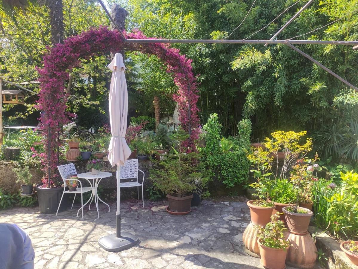 Apartment Valenta Пореч Екстер'єр фото